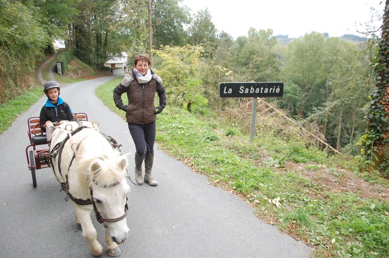 Les Ecuries De La Sabatarie Hotell Cambounes Exteriör bild